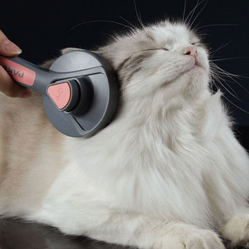 Kittycat Hair Removal Brush