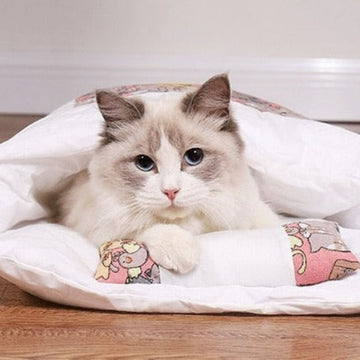 Kittycat Mini Futon Bed