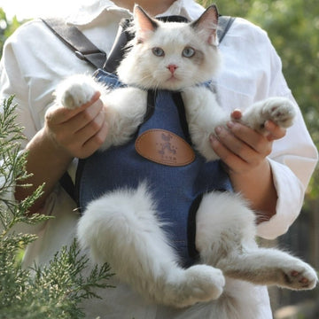 Kittycat Outdoor Carrier