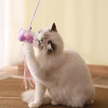 Kittycat Pearl Teaser Toy