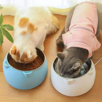 Kittycat Cat Shaped Bowl