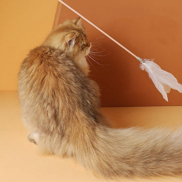 Kittycat Feather Toy